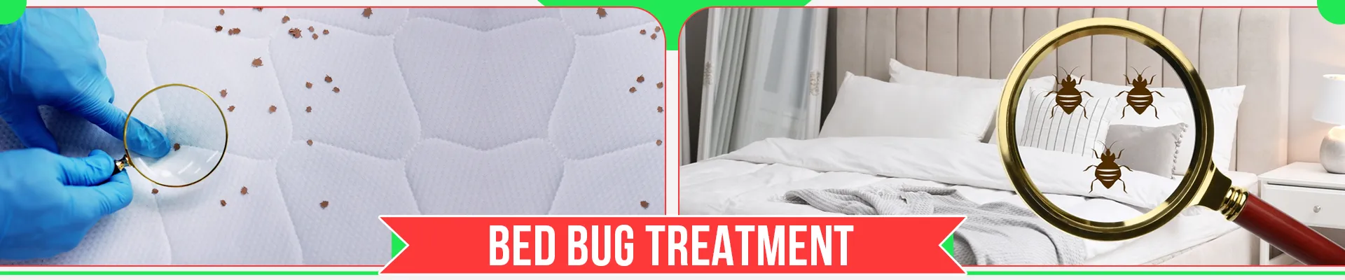 carpet cleaners in Nassau, carpet cleaning in Nassau, carpet cleaning Nassau, carpet cleaners in Nassau,  commercial carpet cleaning, commercial carpet cleaning in v,carpet cleaning in Nassau,  Nassau rug cleaners, rug cleaning services in Nassau, same day carpet cleaning, same day rug cleaning