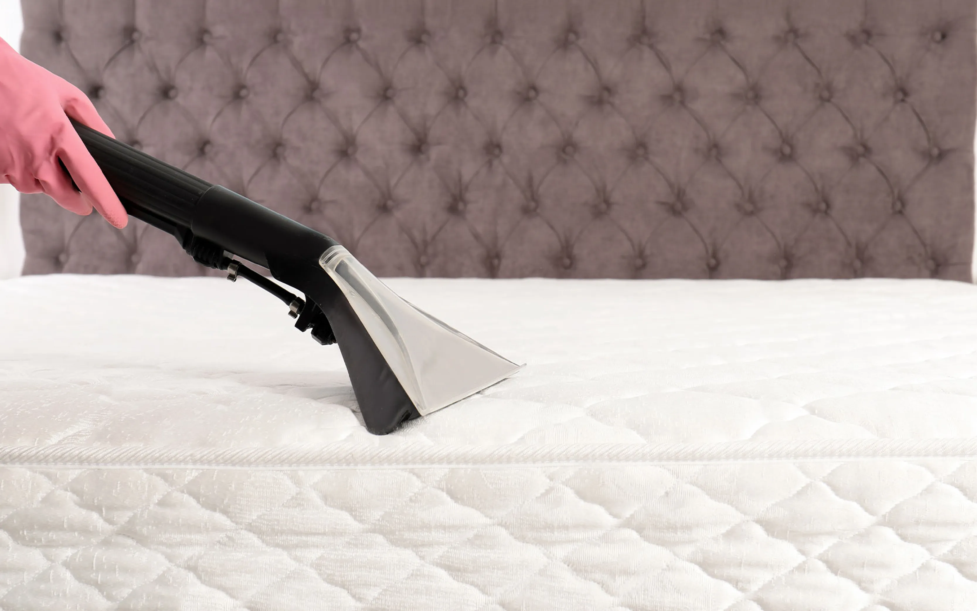 carpet cleaners in Nassau, carpet cleaning in Nassau, carpet cleaning Nassau, carpet cleaners in Nassau,  commercial carpet cleaning, commercial carpet cleaning in v,carpet cleaning in Nassau,  Nassau rug cleaners, rug cleaning services in Nassau, same day carpet cleaning, same day rug cleaning