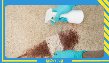 carpet cleaners in Nassau, carpet cleaning in Nassau, carpet cleaning bkln, carpet cleaners in Nassau,  commercial carpet cleaning, commercial carpet cleaning in Nassau,carpet cleaning in Nassau,  Nassau rug cleaners, rug cleaning services in Nassau, same day carpet cleaning, same day rug cleaning